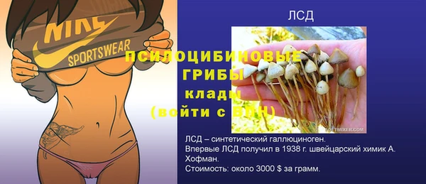 гидра Корсаков