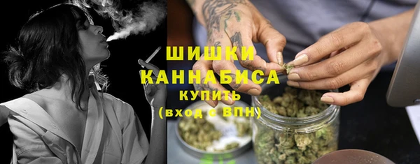 гидра Корсаков