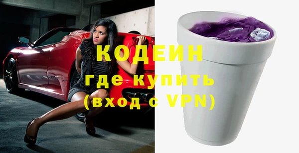 гидра Корсаков