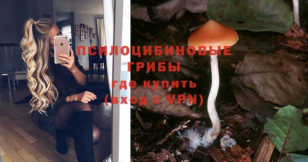 кристаллы Костерёво