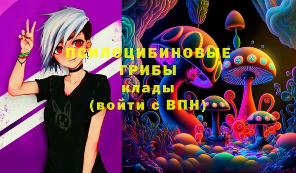 гидра Корсаков