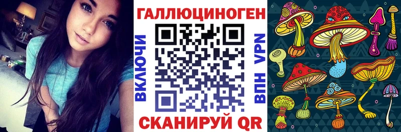 Галлюциногенные грибы Psilocybine cubensis  хочу   Каменск-Уральский 