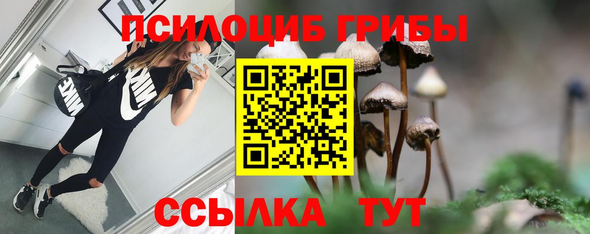 купить закладку  Вход с VPN  Галлюциногенные грибы мухоморы  Каменск-Уральский  Псилоцибиновые грибы Psilocybe 