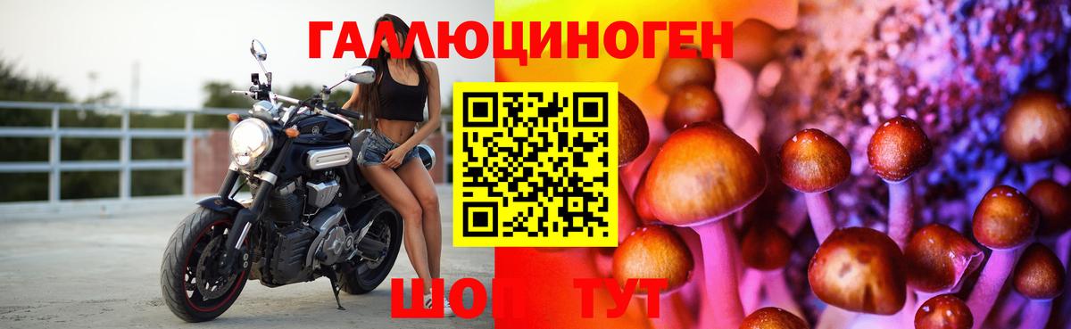 Псилоцибиновые грибы прущие грибы  Псилоцибиновые грибы мицелий  Каменск-Уральский 