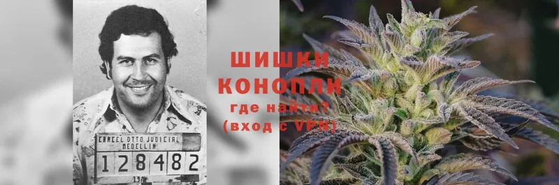 kraken зеркало  Каменск-Уральский  Марихуана THC 21% 